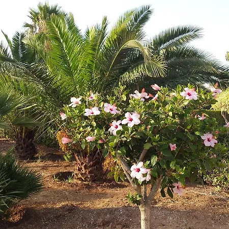 Bed & Breakfast Baia Del Sole Marina di Modica